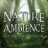 Nature Ambience