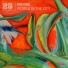 Niconé Feat. Enda Gallery