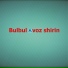 Pamir