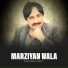 Abdul Sattar Zakhmi