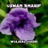 Usman Anarif