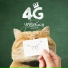 4G