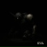 KRXKEN13
