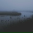 YAGMIN MUSIC, Tyler.l