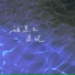 庄淇文29