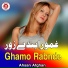 Ahsan Afghan