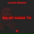 Lucian Dragan