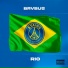 Brvbus