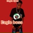 Eagle BOSS