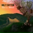Billy Sutton