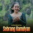 Evita Wharma