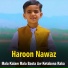 Haroon Nawaz