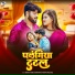 Manoj Tiger Jaunpuriya, Mamta Hulchal