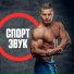 СпортЗвук