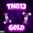 TN813