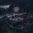 HVSE