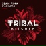 Sean Finn