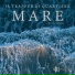 il trapper di quartiere