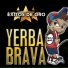 Yerba Brava