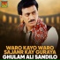Ghulam Ali Sandilo