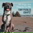 Tony Peebles Quartet