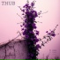 Thub