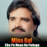 Mina Gul