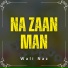 Wali Naz