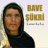 Bave Şükri