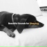Ambient, Meditation Zen, Peaceful Music