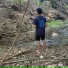 SilGab