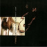 Mohsen Namjoo feat. Shahryar Masrour