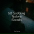 Rain Spa, Rain Sounds, Sleeping Music
