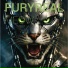 FURYREAL