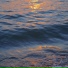 是海哥呀