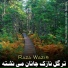 Raza Wazir