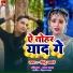 Pintu Pyare