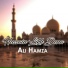 Ali Hamza