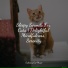 Pet Care Club, Cat Music Therapy, RelaxMyCat