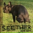 Seether