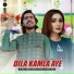 Adeel Abbas Sheikh, Malik Ahsan Raza