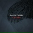 Davide Trebbi