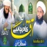Faisal Raza Saifi