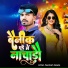 Santosh Gawle