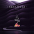 Secludja