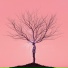 OrinSage