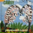 CAMSY