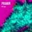 PRAMIR