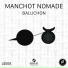 Manchot Nomade