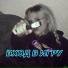 LiL Bitch, StiLLex, AYSE, LEEM, PoyAss